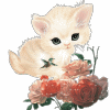0044.gif