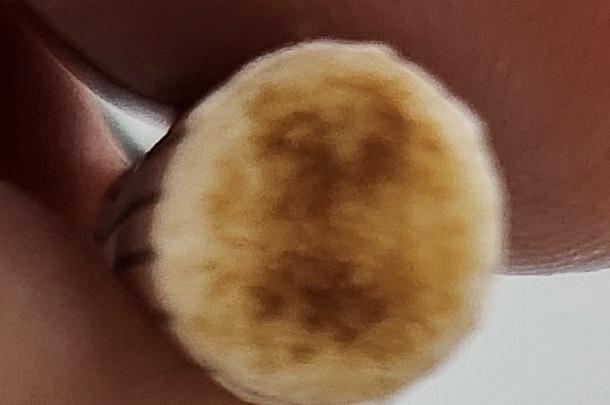 0086C6F9-9ECB-40C3-89C4-82D2C6740FAC.jpeg