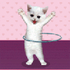 0292.gif