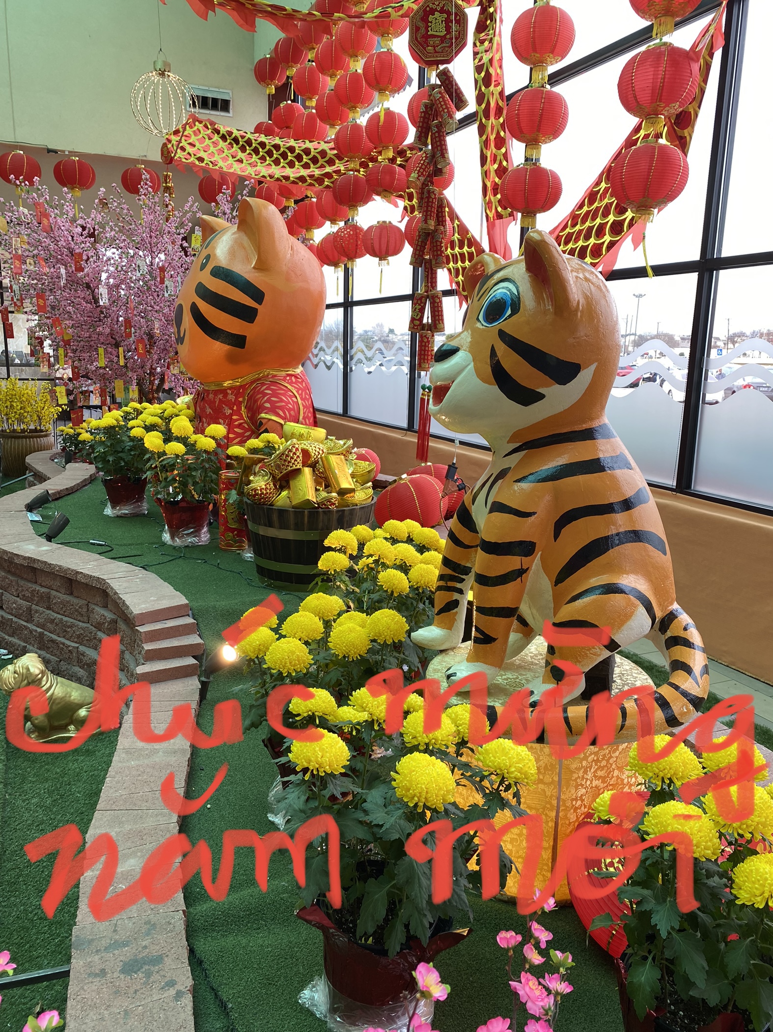 09D33714-A8F2-4FB2-B600-E086E0C48D9F.jpeg