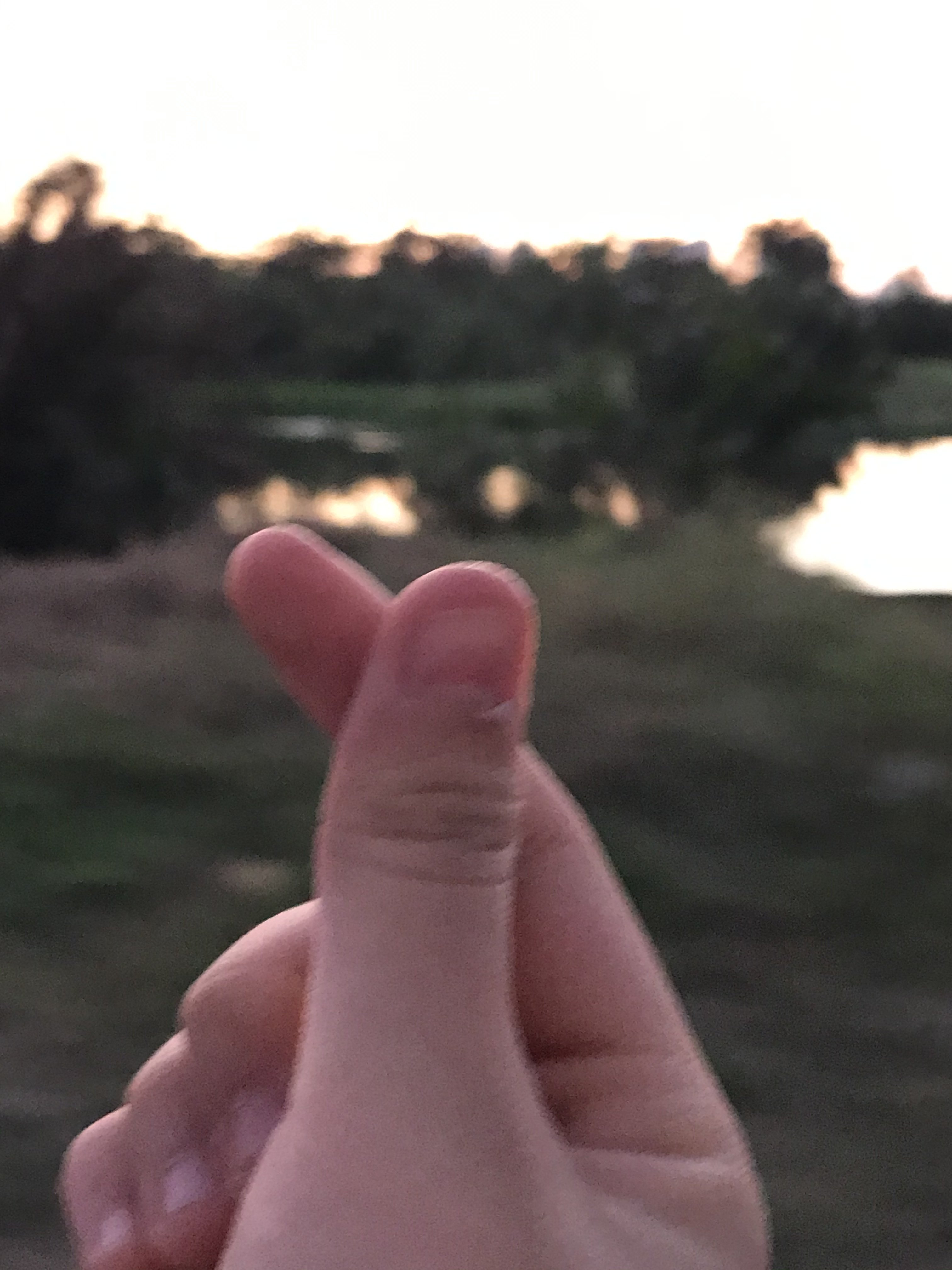 0C60BCEB-ED62-48D4-94A4-141F0D4E50AC.jpeg