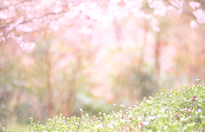 1145787442664609_file1[1].gif