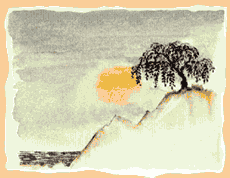 1147288.gif