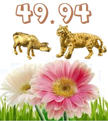 12-cpn-giap-tu-vi-hom-nay.jpg