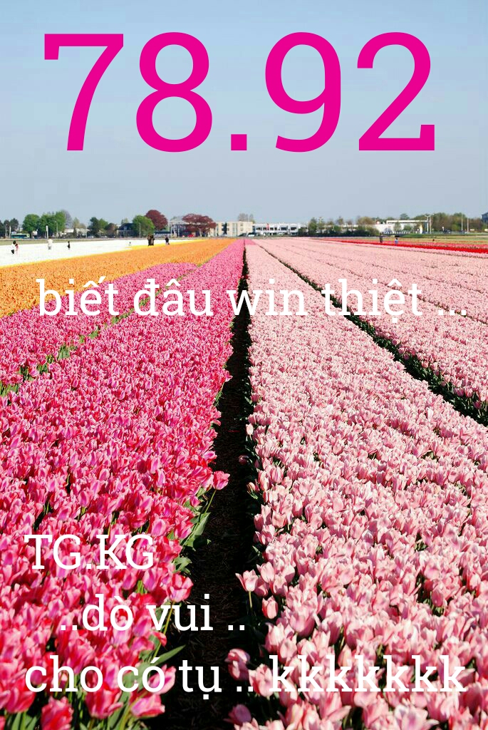1491123672614.jpg
