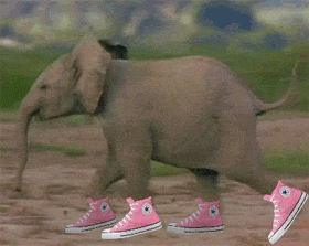 15-12nhung-hinh-anh-dong-hai-huoc-cuc-ki-vui-nhon7 (1).gif
