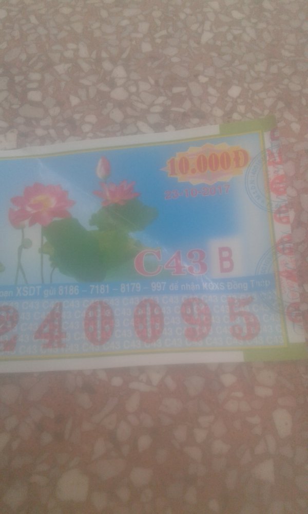 15087511612481879445425.jpg