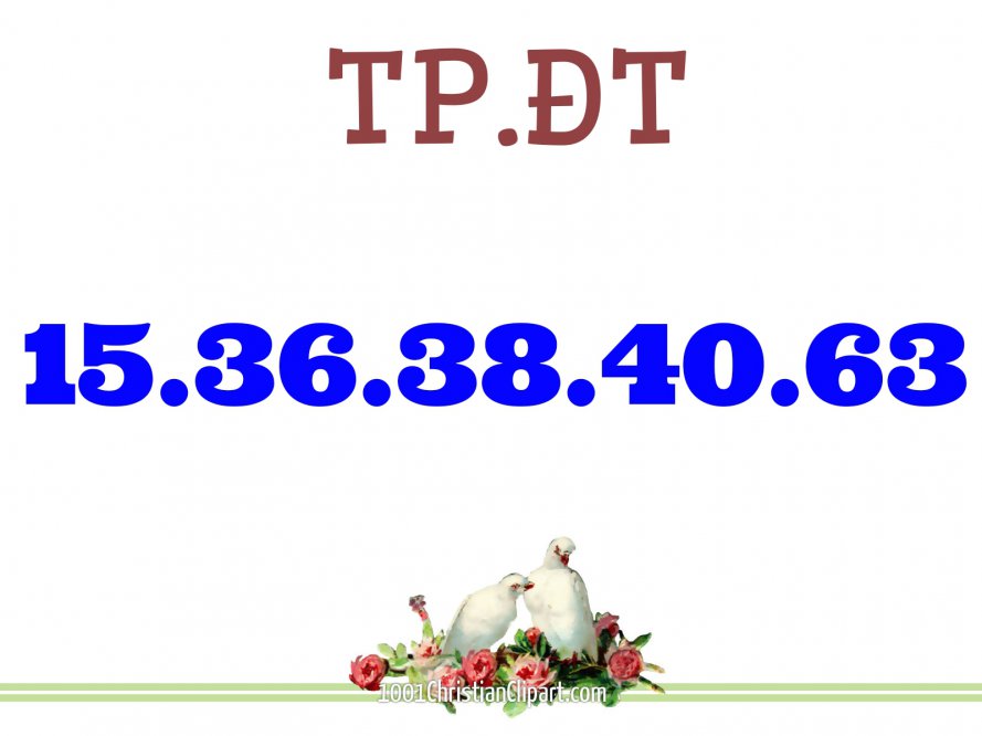 1509953583942.jpg