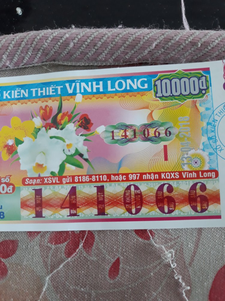 1523600684969497597017.jpg