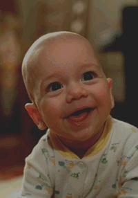 166.gif
