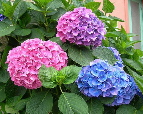 19159ED8-54CF-48B4-84DD-8BE85AD53990.jpeg