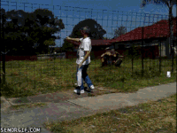 200w.gif