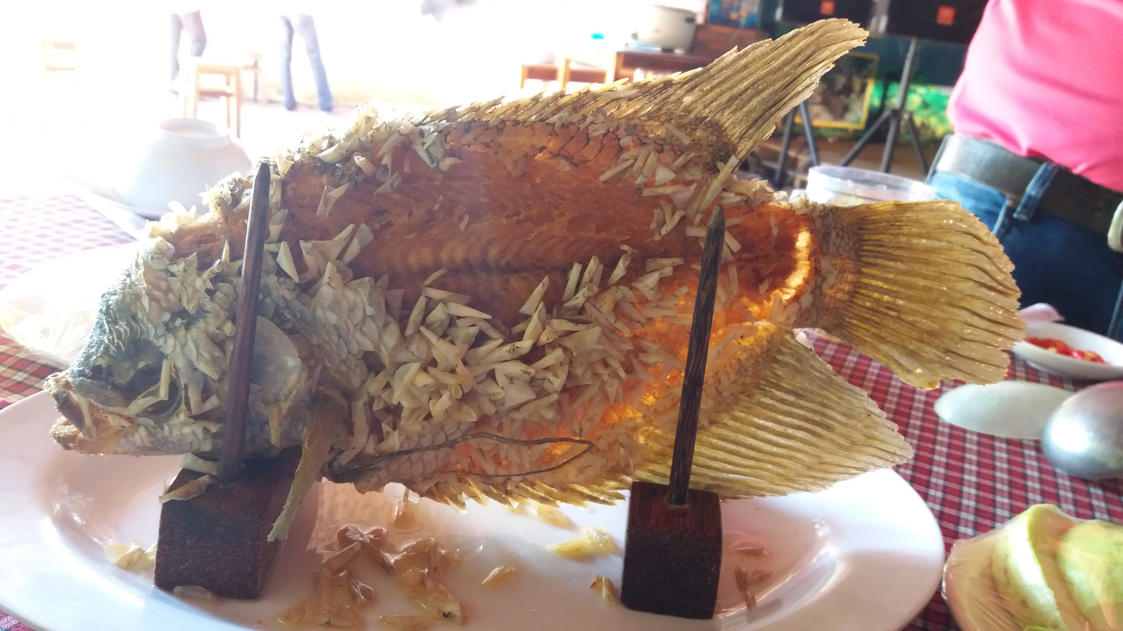 20161112_121655.jpg