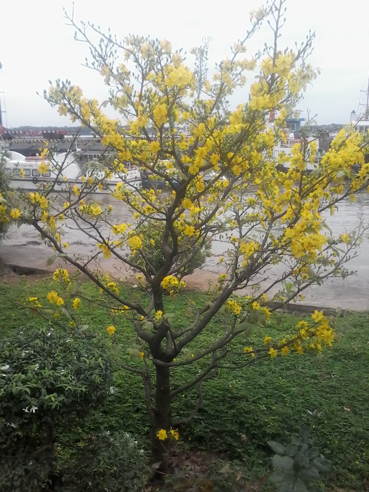 20170124_074911.jpg