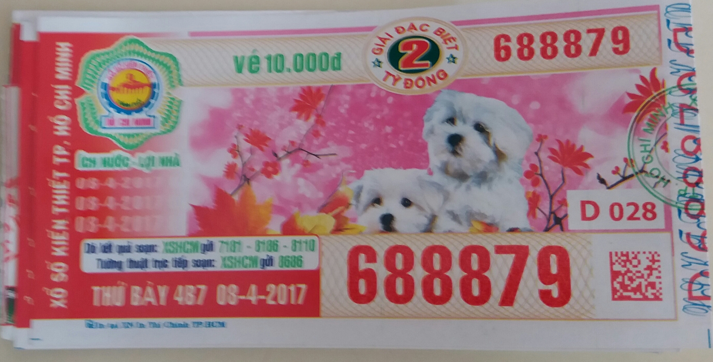 20170408_074854.jpg