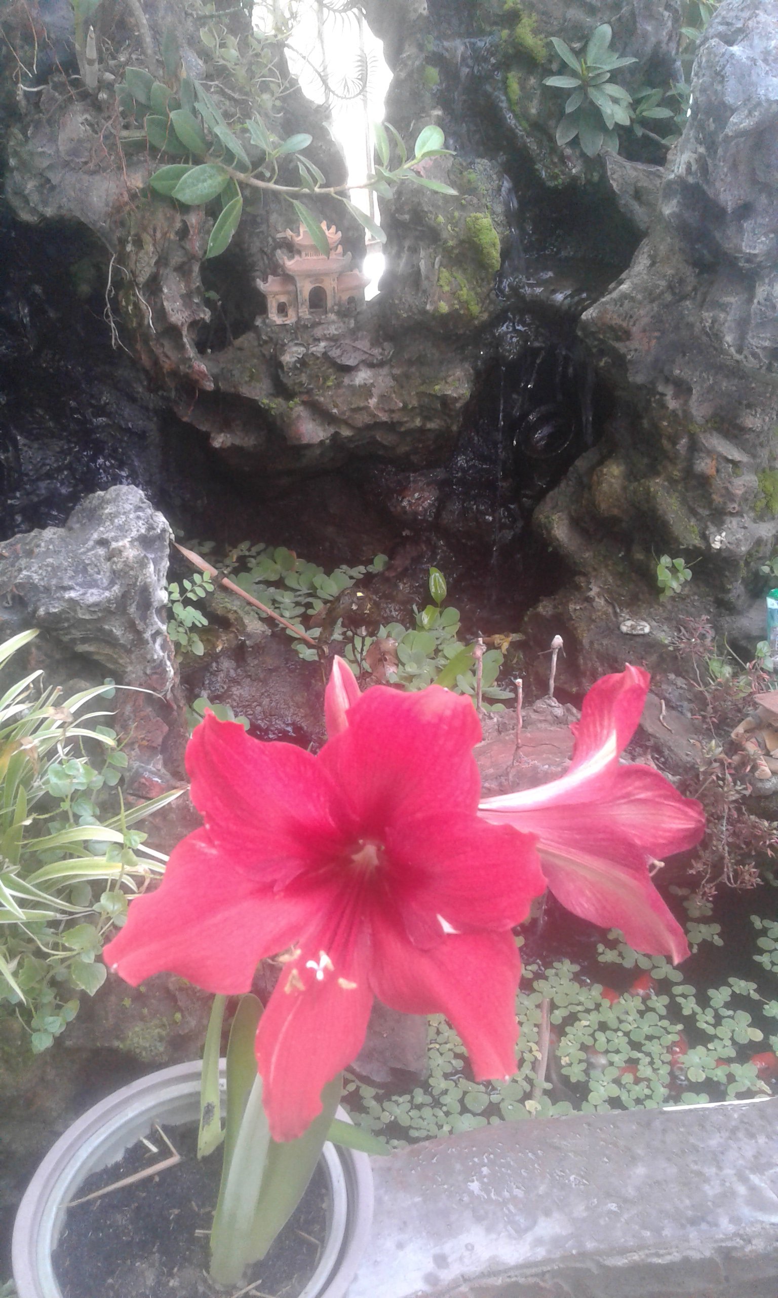 20170516_072715.jpg