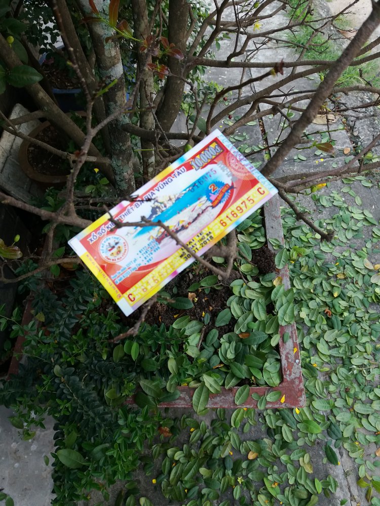 20180130_160249.jpg