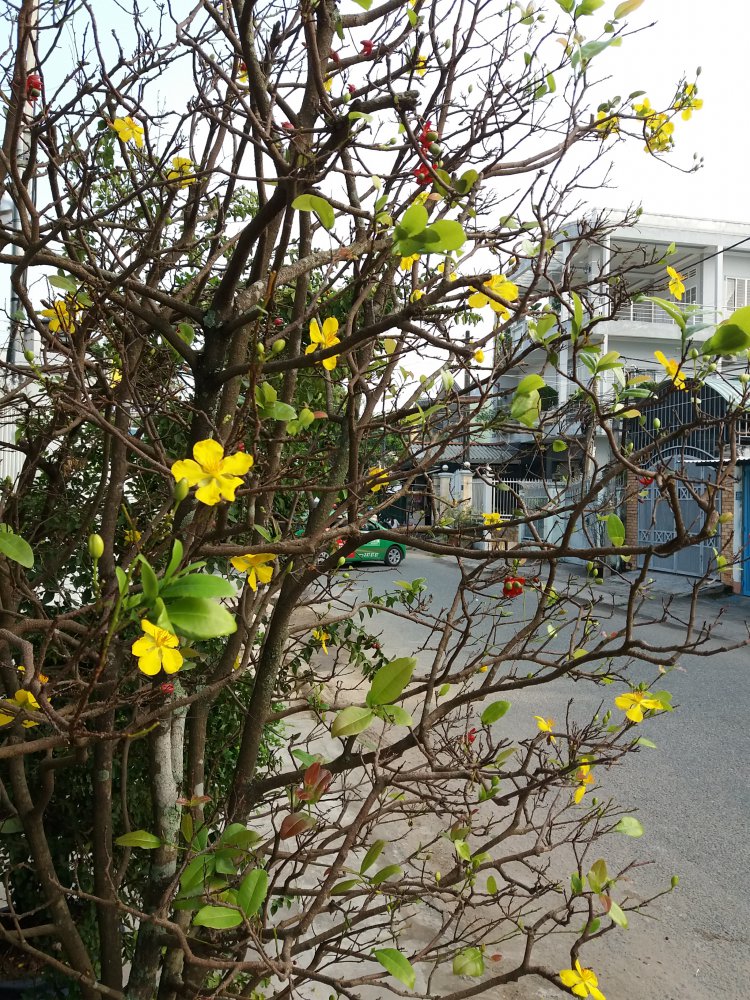 20180205_075610.jpg
