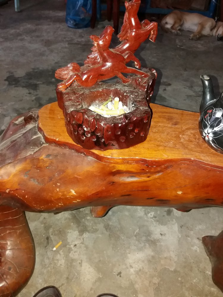 20180226_180742.jpg