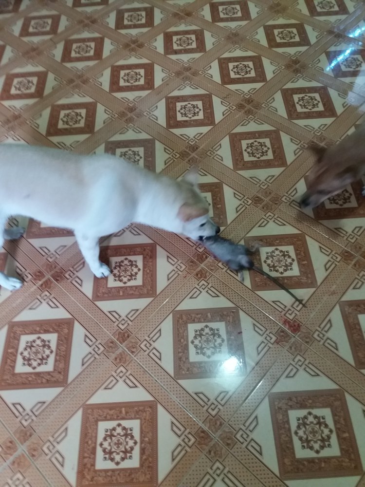 20180610_071722.jpg