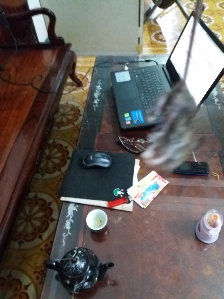 20180821_194133.jpg