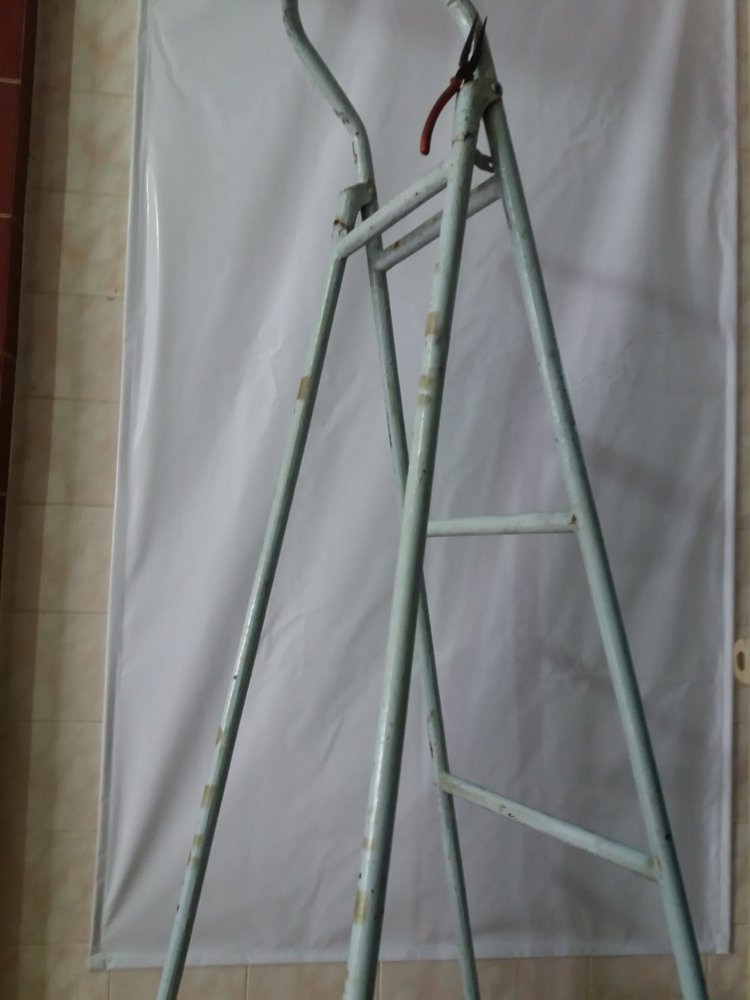 20180923_120852.jpg