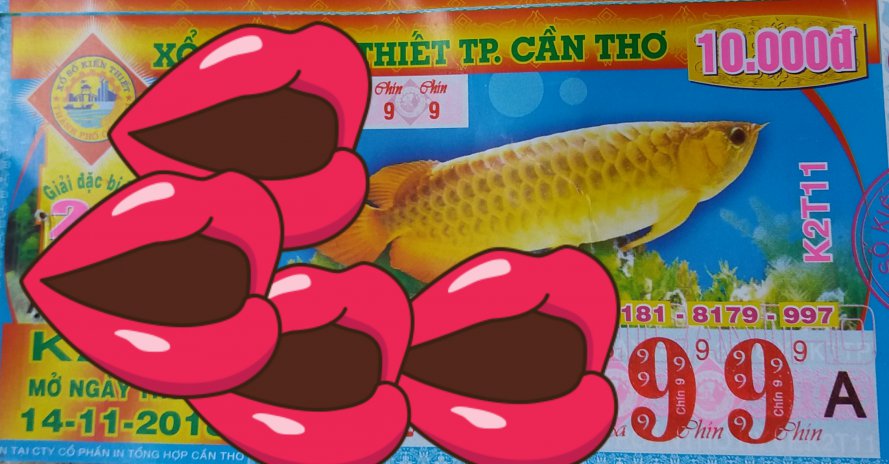 20181114_155224.jpg