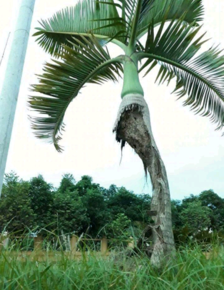 20181224_151920.jpg