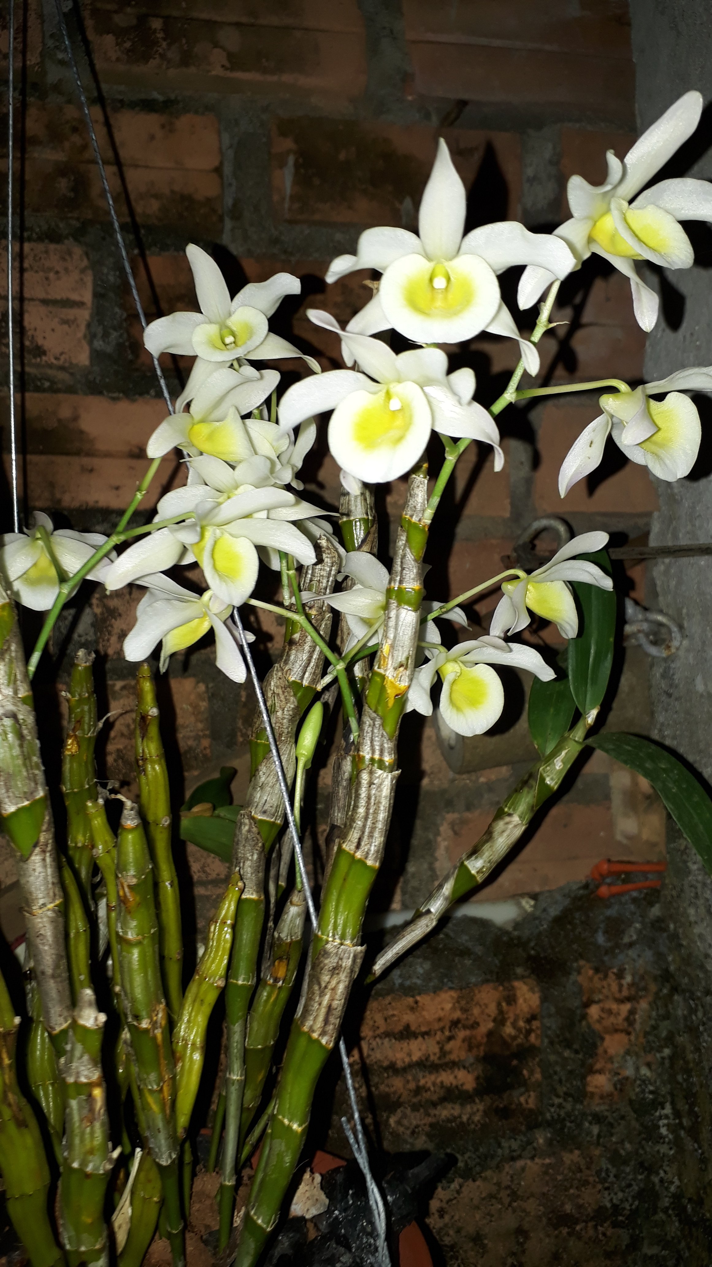 20190115_060350.jpg