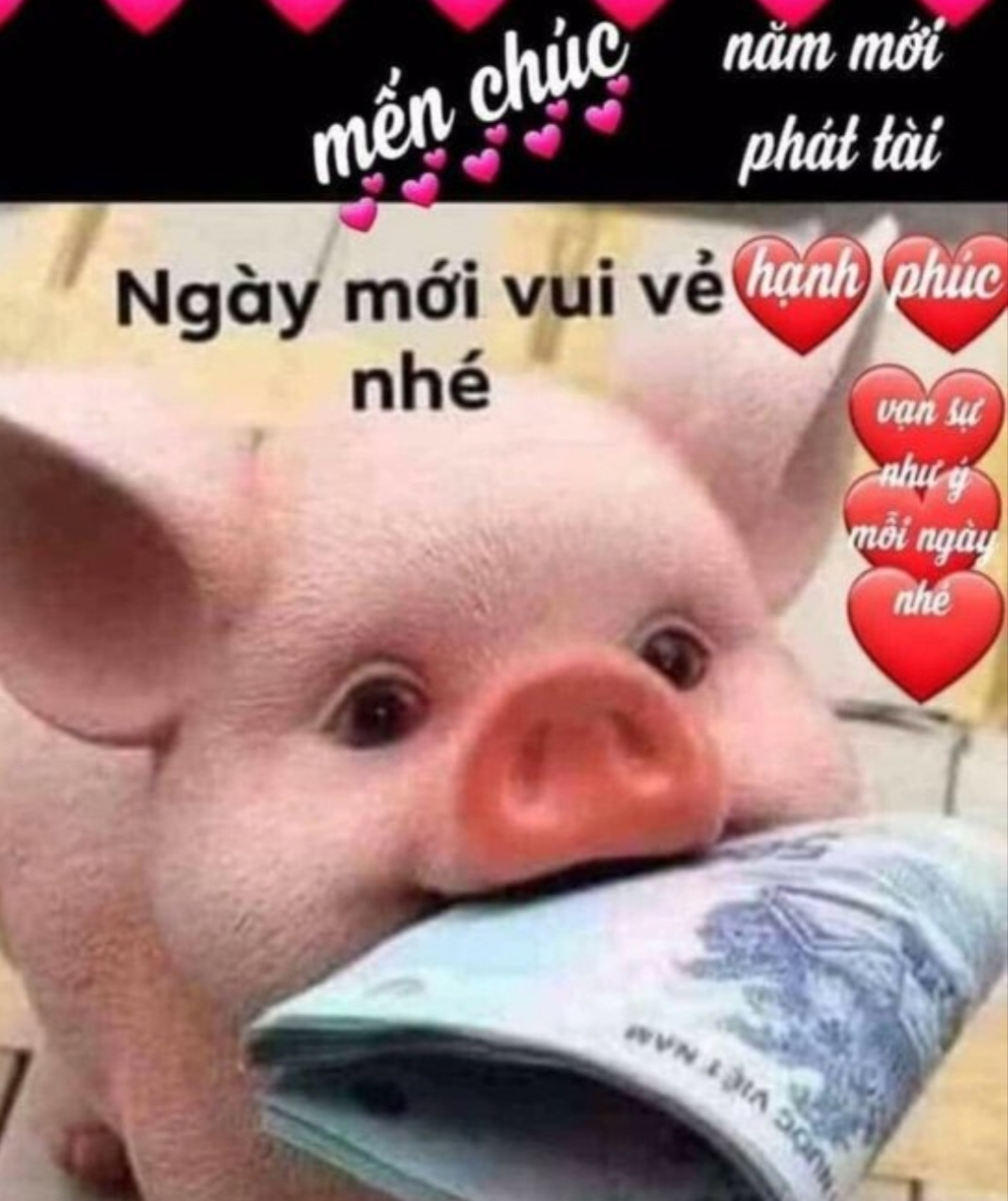20190124_132903.jpg