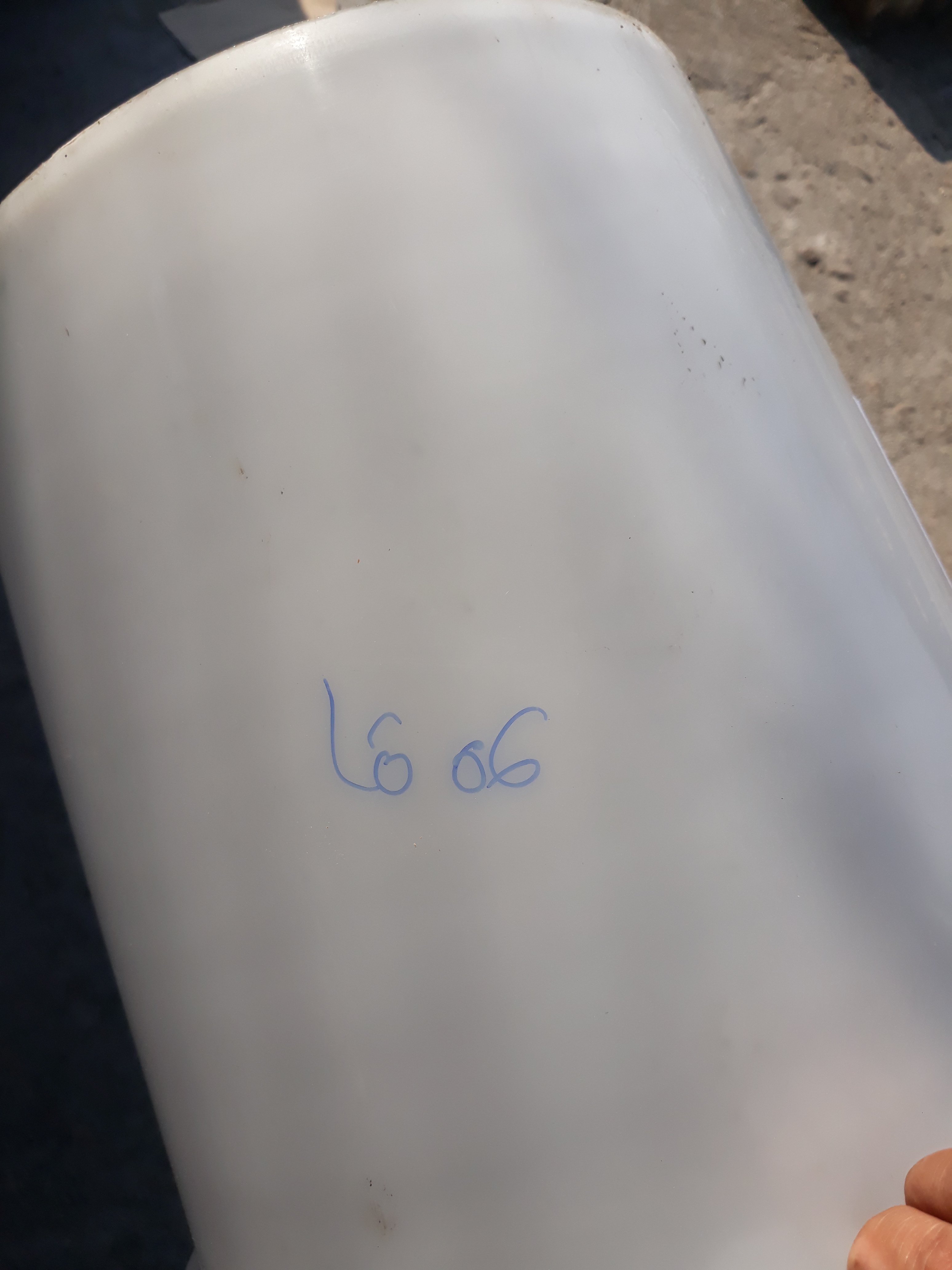 20190426_072605.jpg