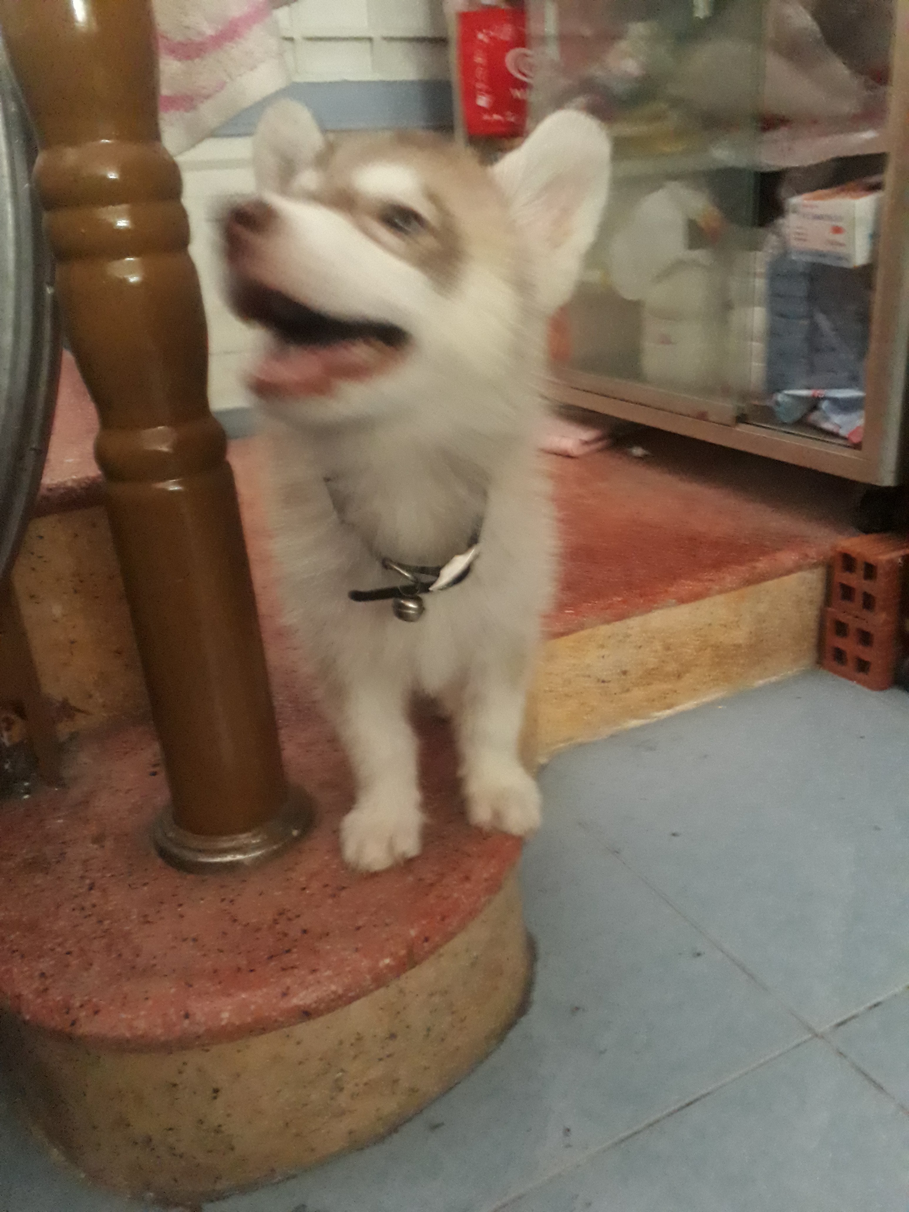 20190426_122429.jpg