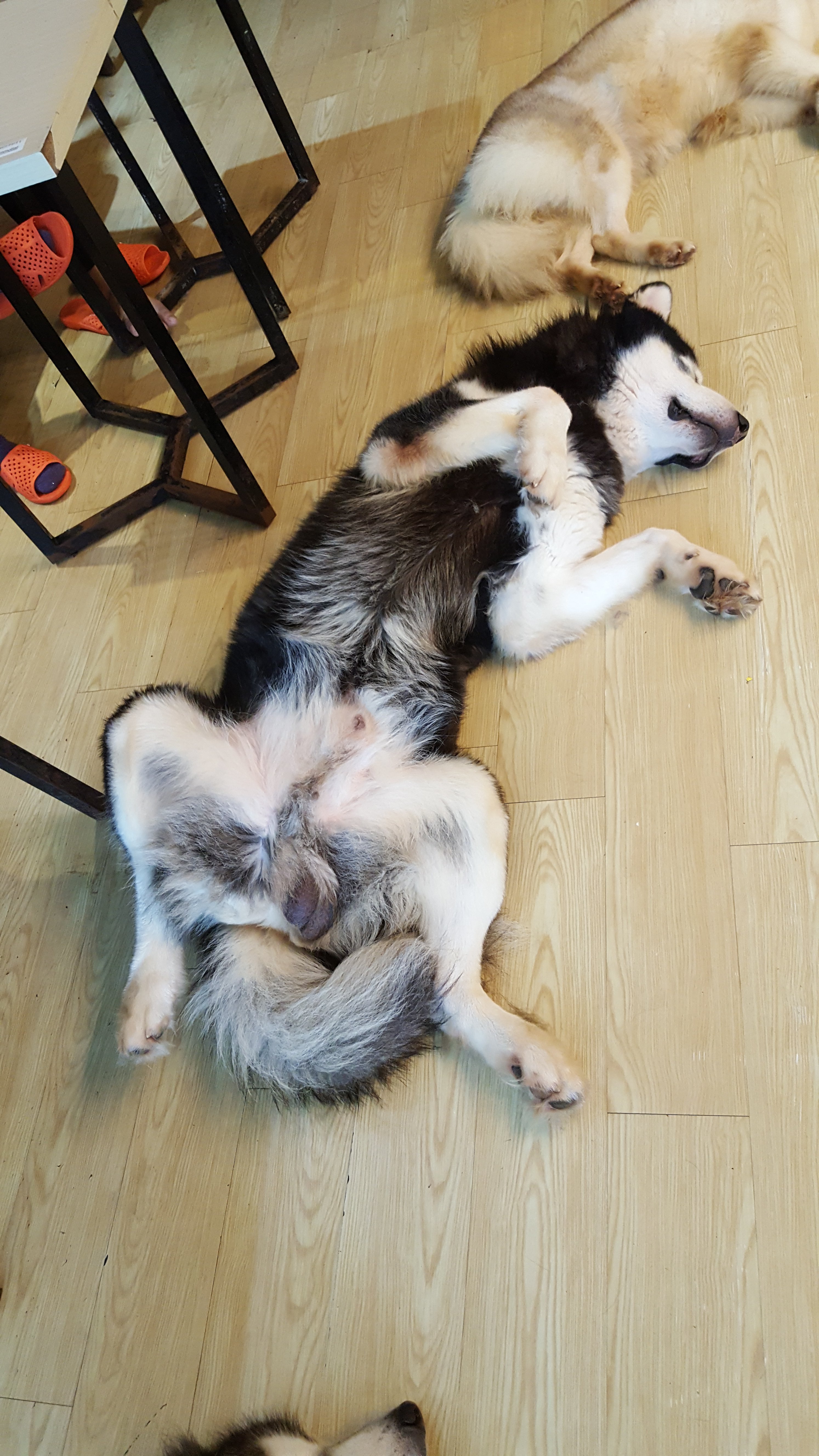 20190430_120555.jpg
