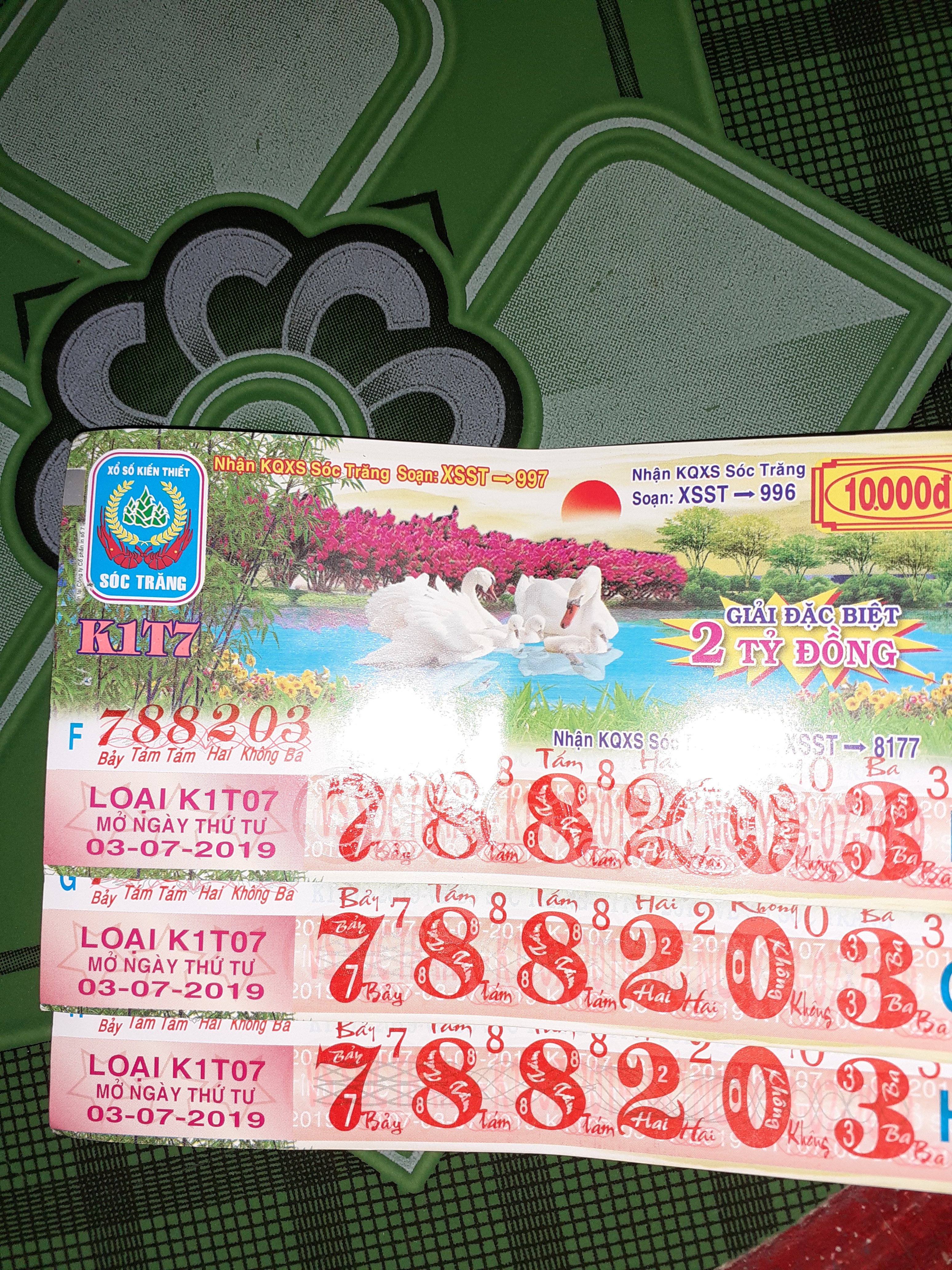 20190703_143903.jpg