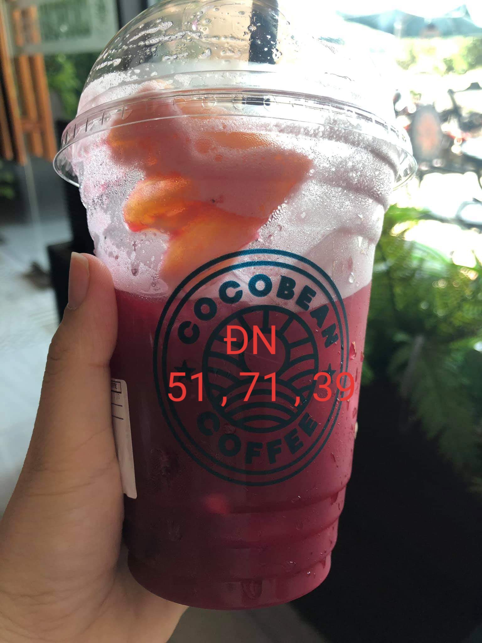 20190720_125733.jpg
