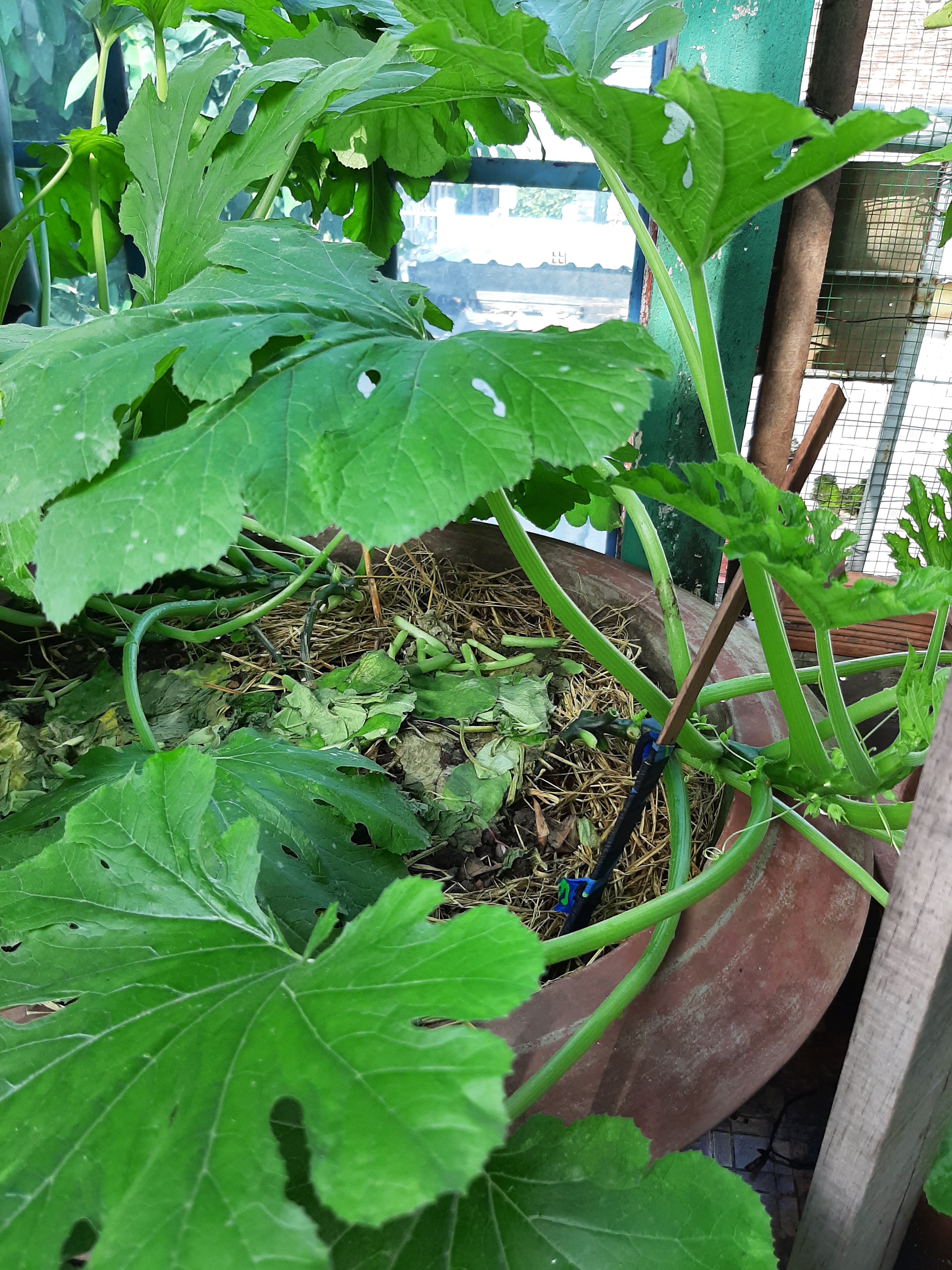 20190817_140957.jpg