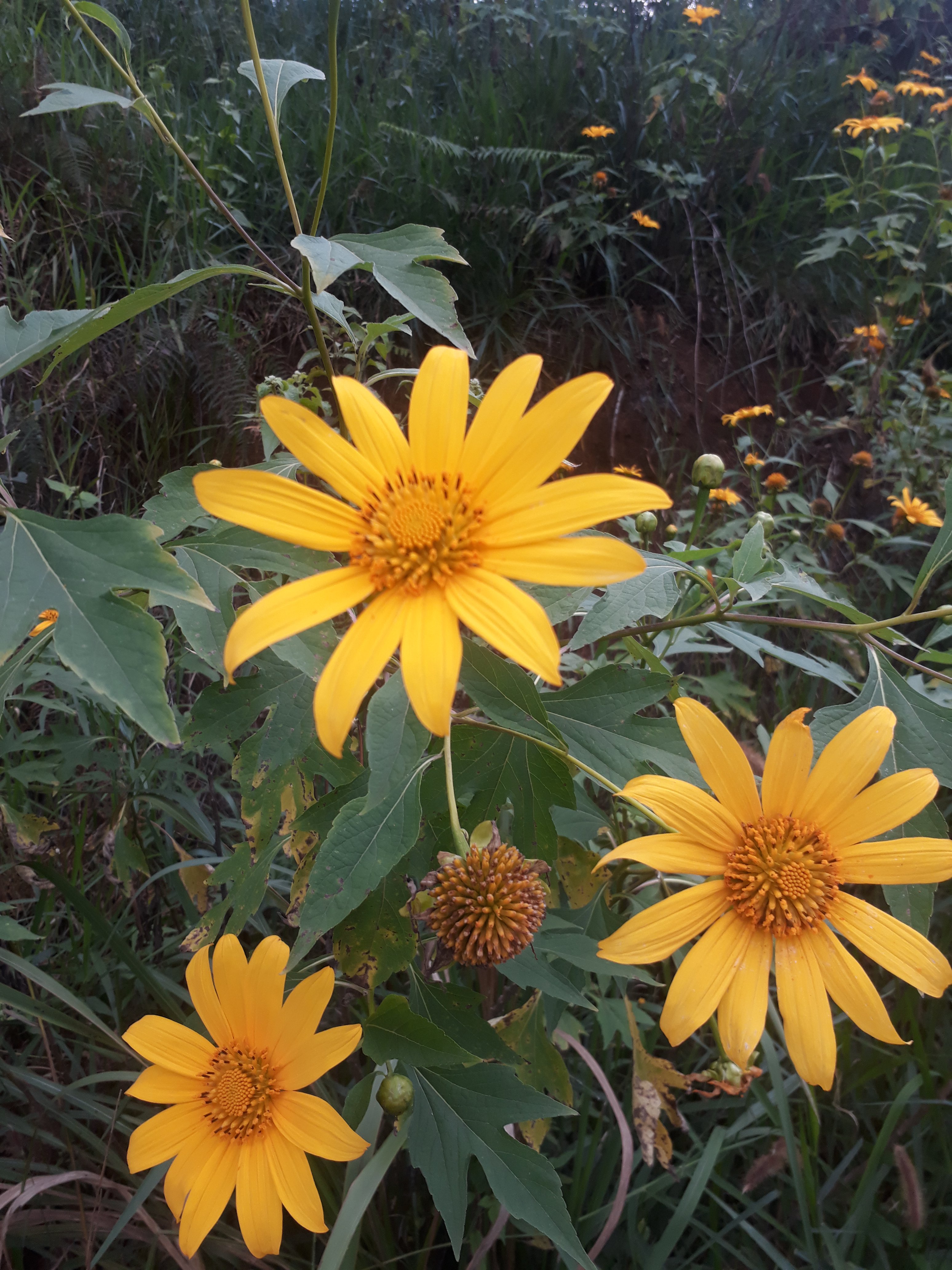 20191109_151306.jpg