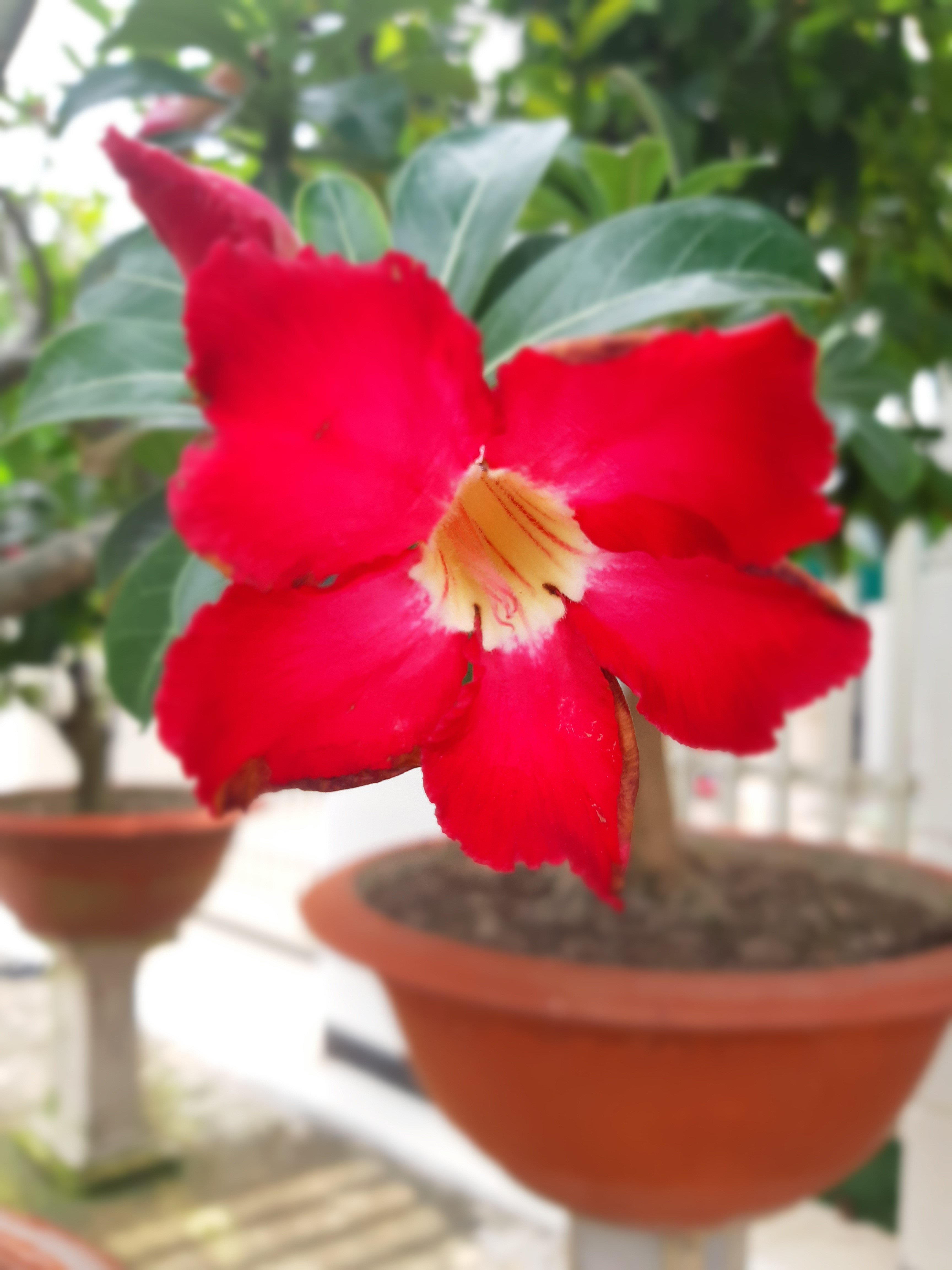 20191110_115505.jpg