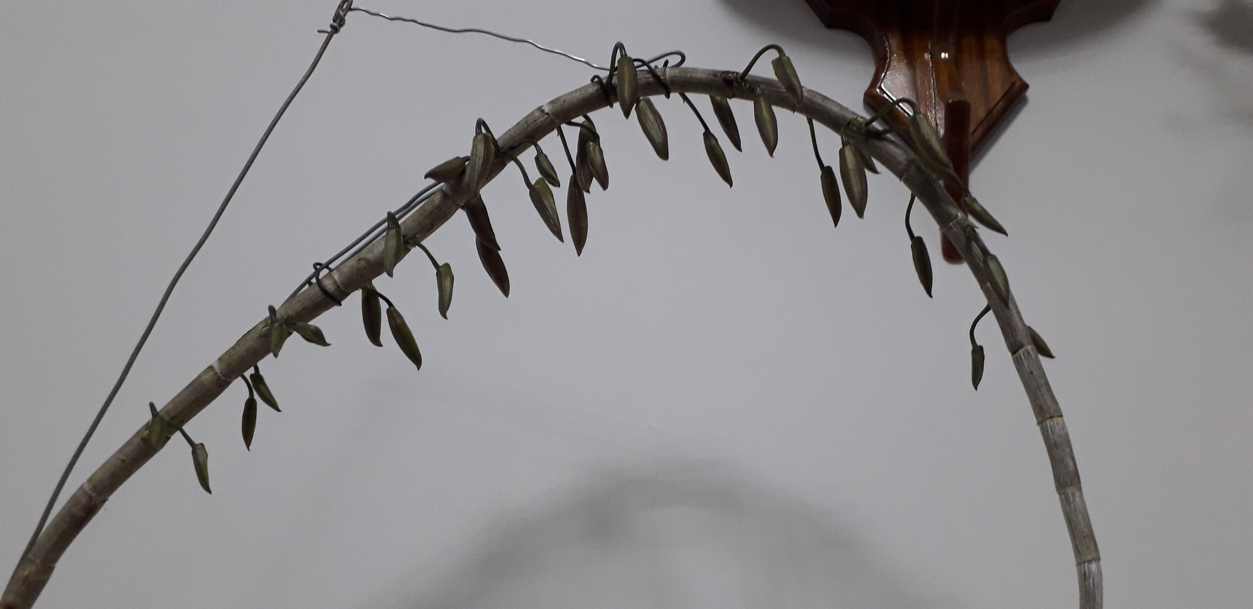 20220112_194452.jpg