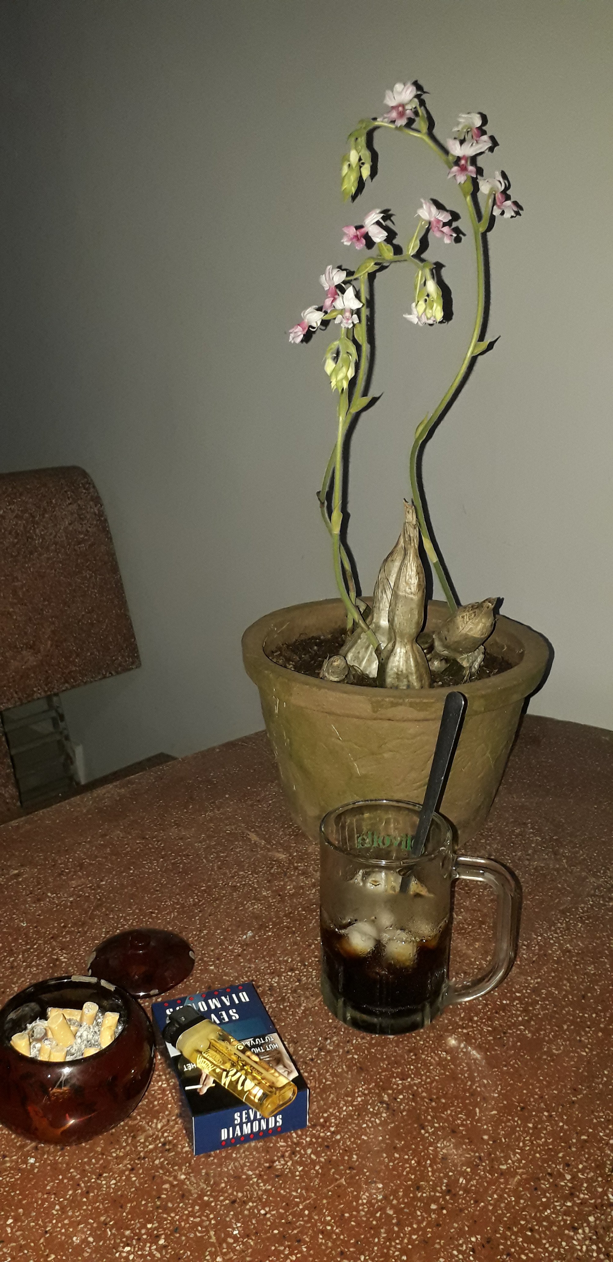20220113_201245.jpg