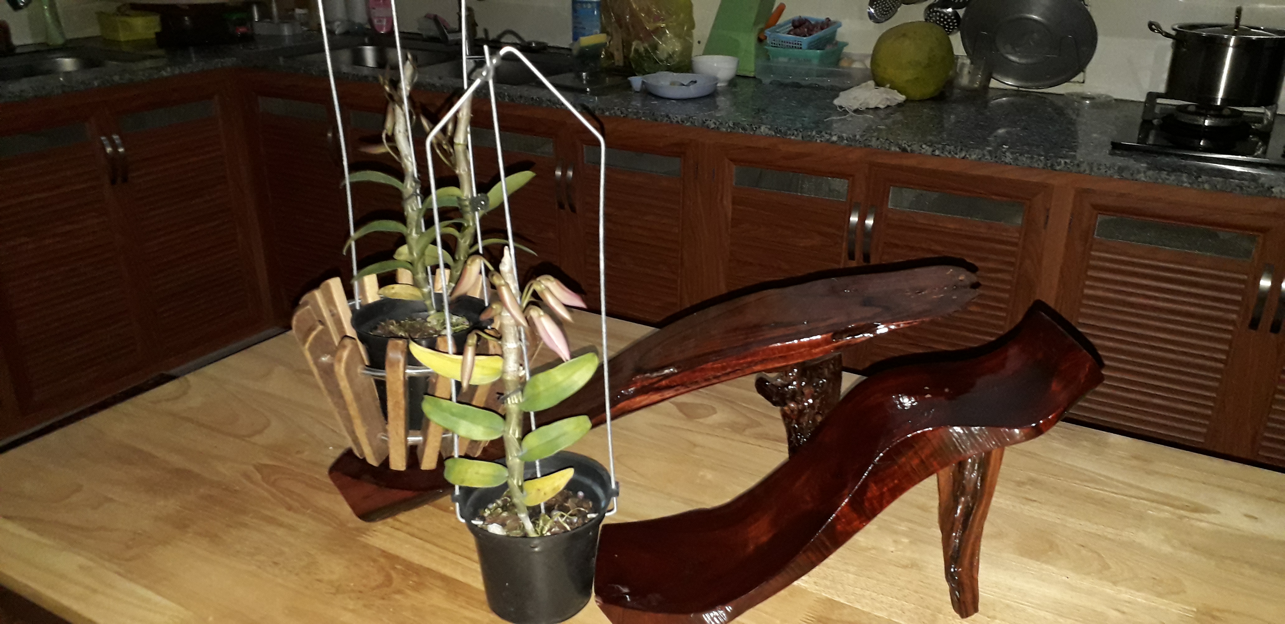 20220125_220133.jpg