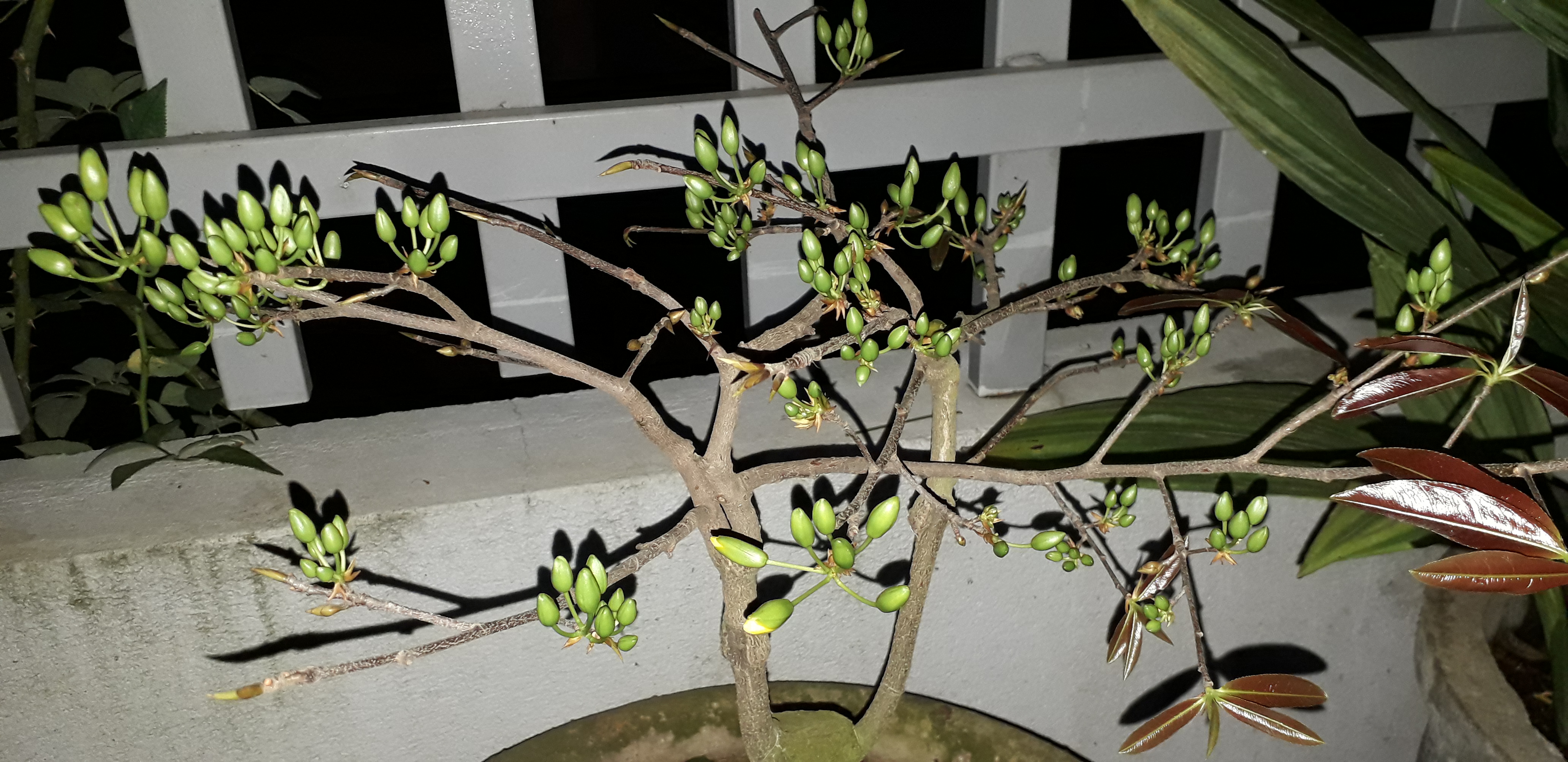 20220127_214159.jpg