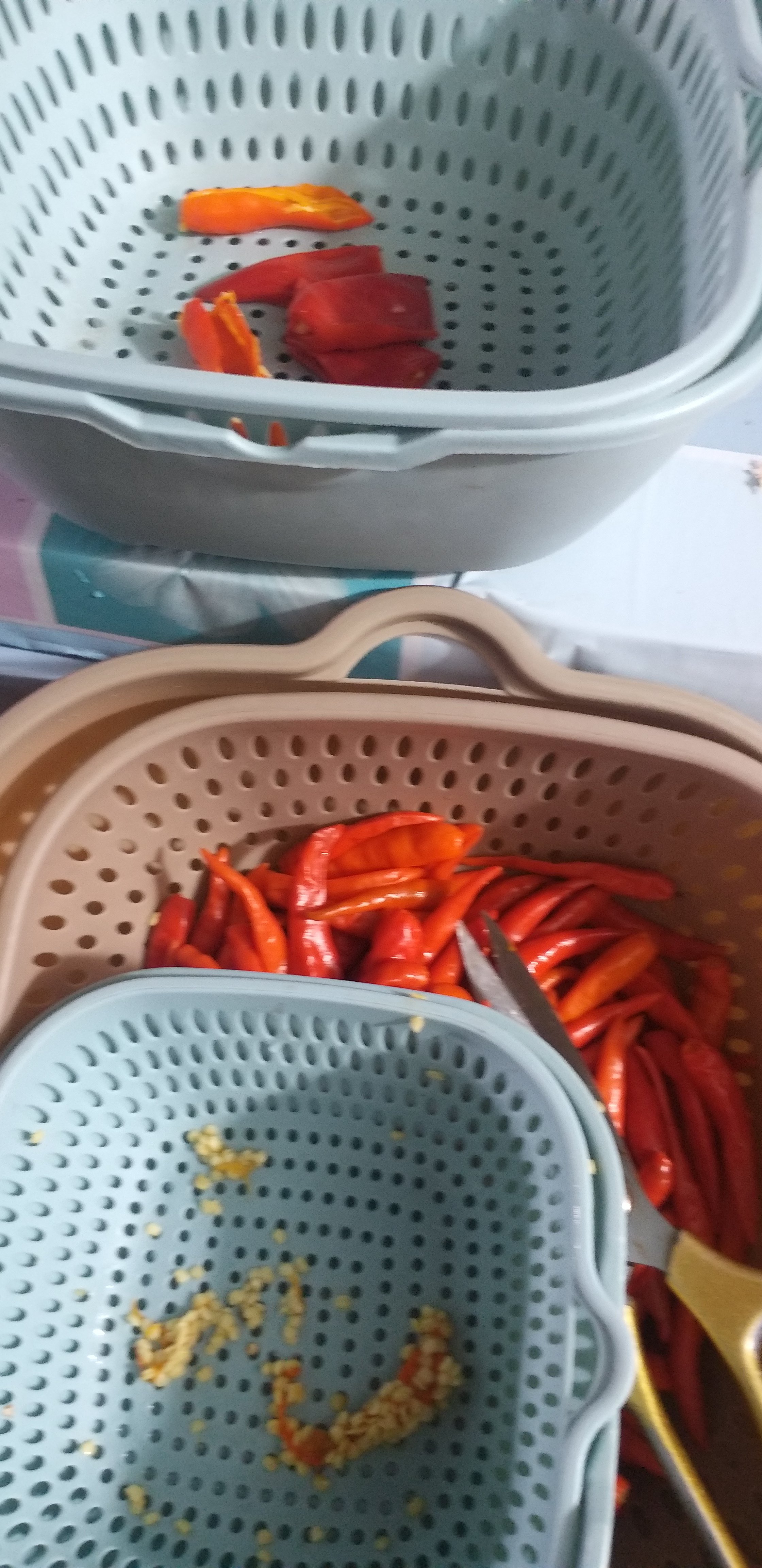 20240314_093846.jpg