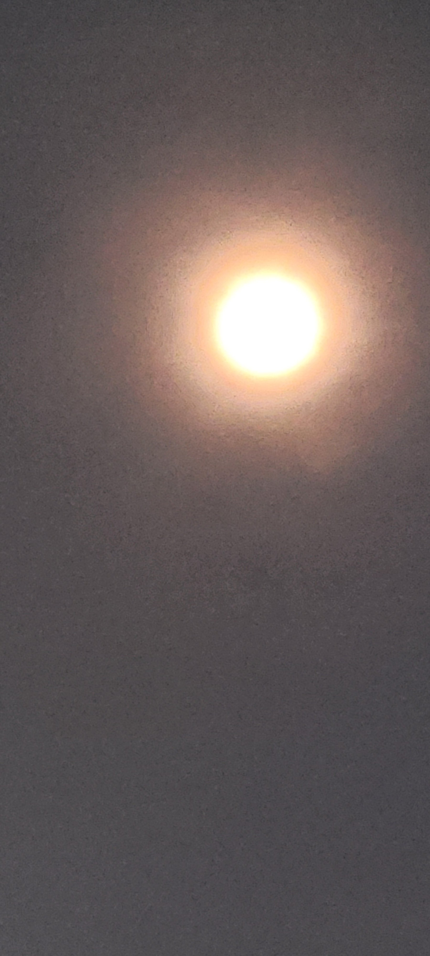 20250313_185758.jpg