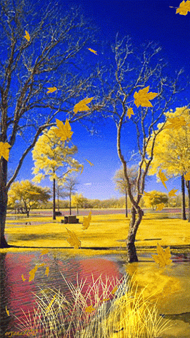 276059255_309216637970688_201570425933241617_n.gif