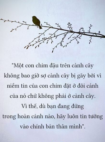 2cdda9f4341a9b31b43c46b9e49f277a.jpg