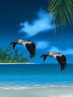 2dfe.gif