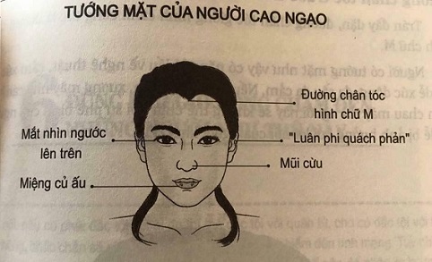 3.jpeg
