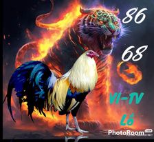 336183874_583284593733621_8849528997548891805_n.jpg