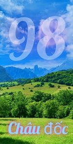 351446070_247984167850182_3827658558131121710_n.jpg